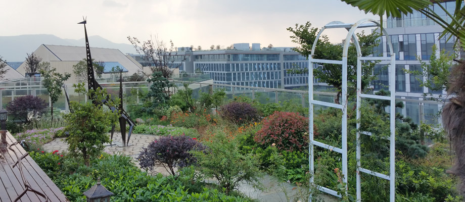 南京萬通城市建設(shè)設(shè)計(jì)院弱電系統(tǒng)項(xiàng)目案例。